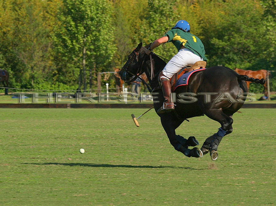 Photos de Thérèse ISTAS au Polo de St Tropez au Haras de Gassin St Tropez